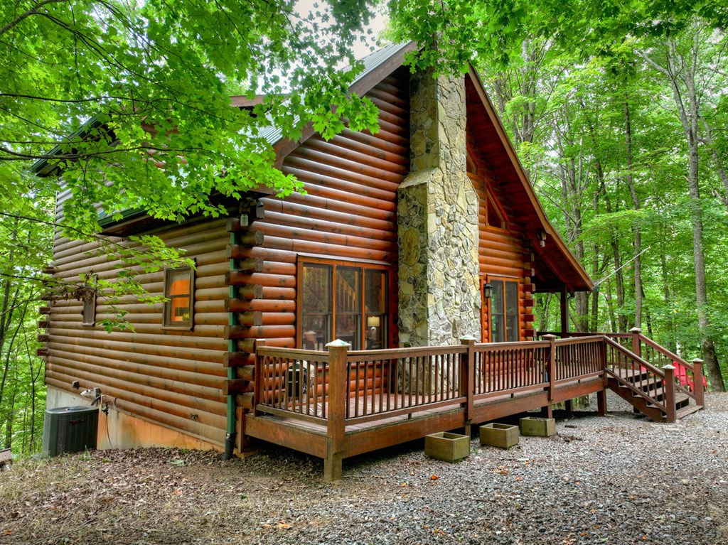 541 Little Bushy Head Road