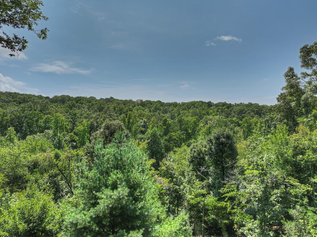 104 Gibbs Trail