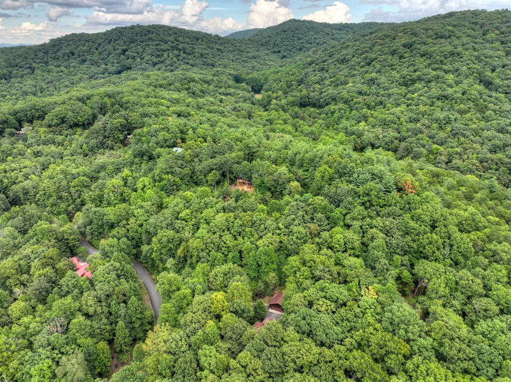 466 Hoot Owl Hill