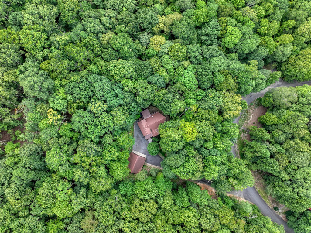 466 Hoot Owl Hill