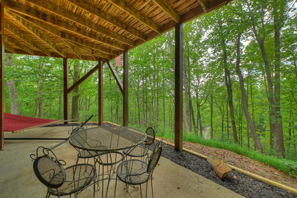466 Hoot Owl Hill