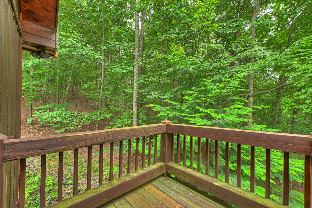 466 Hoot Owl Hill
