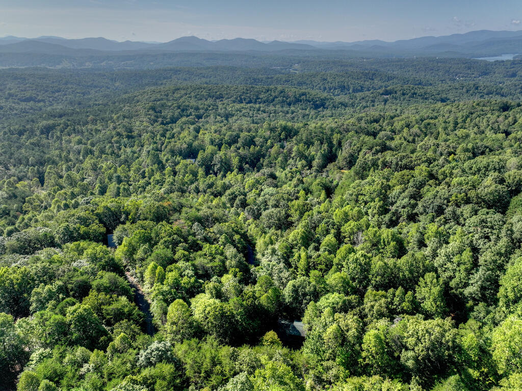 255 Blue Ridge Trails