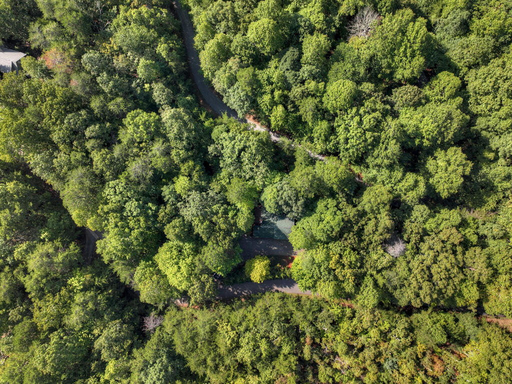 255 Blue Ridge Trails