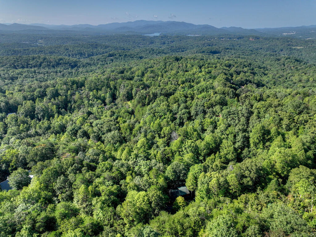 255 Blue Ridge Trails