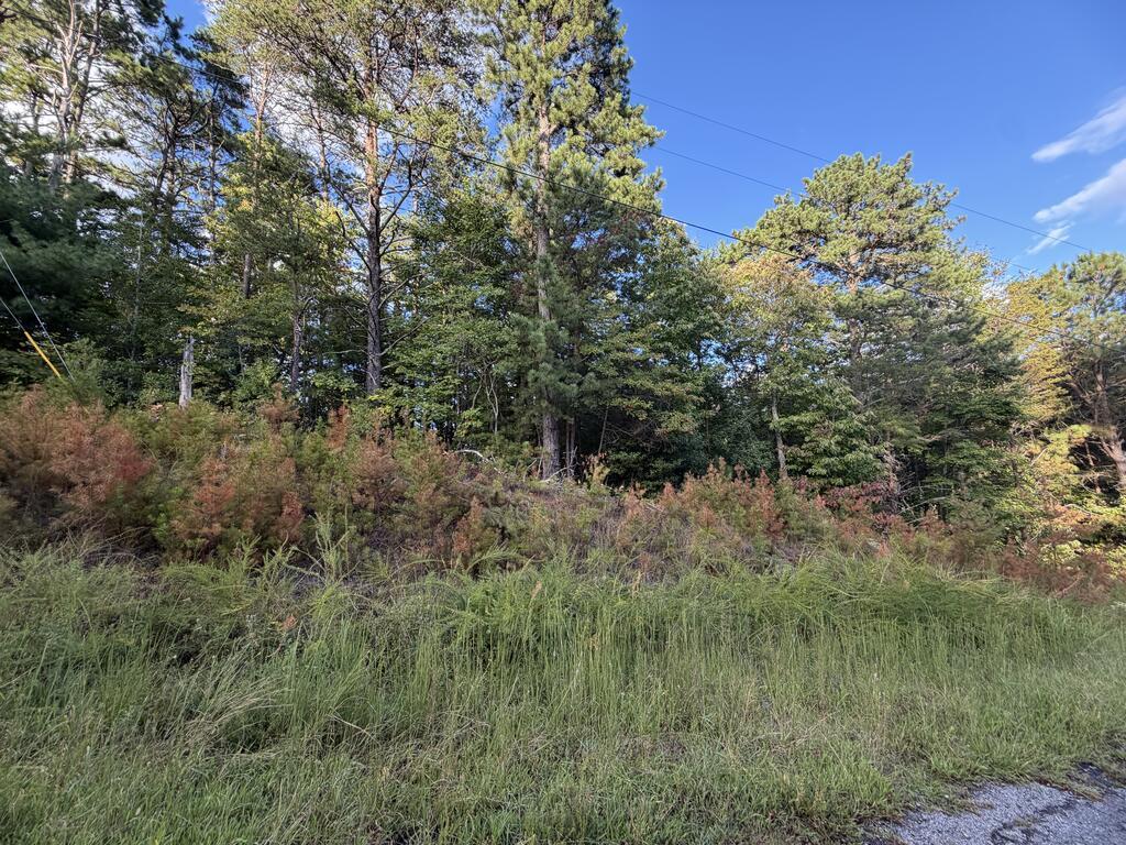 Lot 17 Belaire Drive
