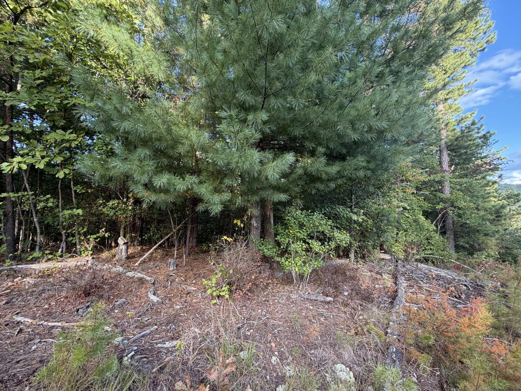 Lot 17 Belaire Drive