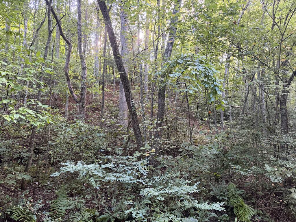 Lot 17 Belaire Drive