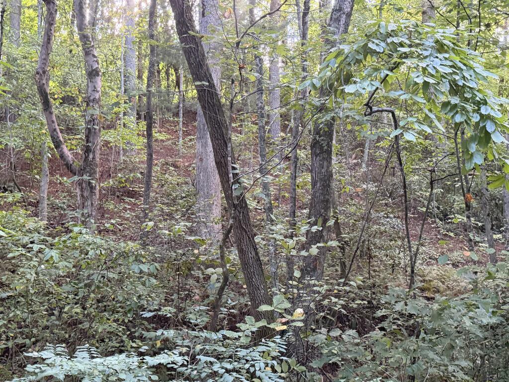 Lot 17 Belaire Drive