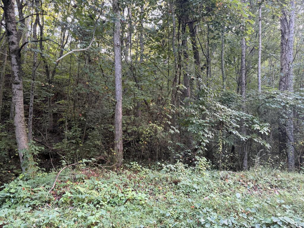 Lot 17 Belaire Drive