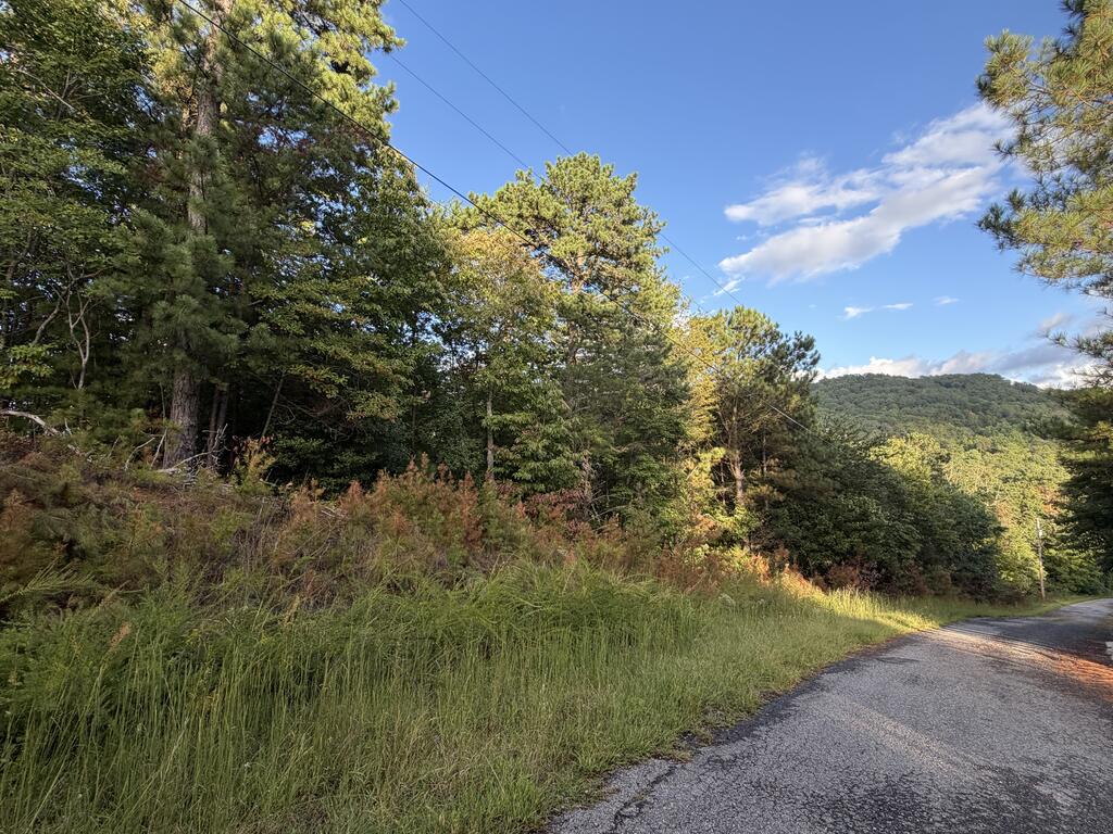 Lot 17 Belaire Drive