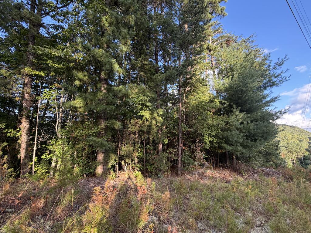 Lot 17 Belaire Drive