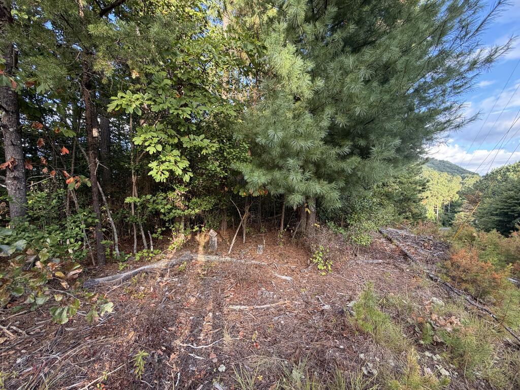 Lot 17 Belaire Drive