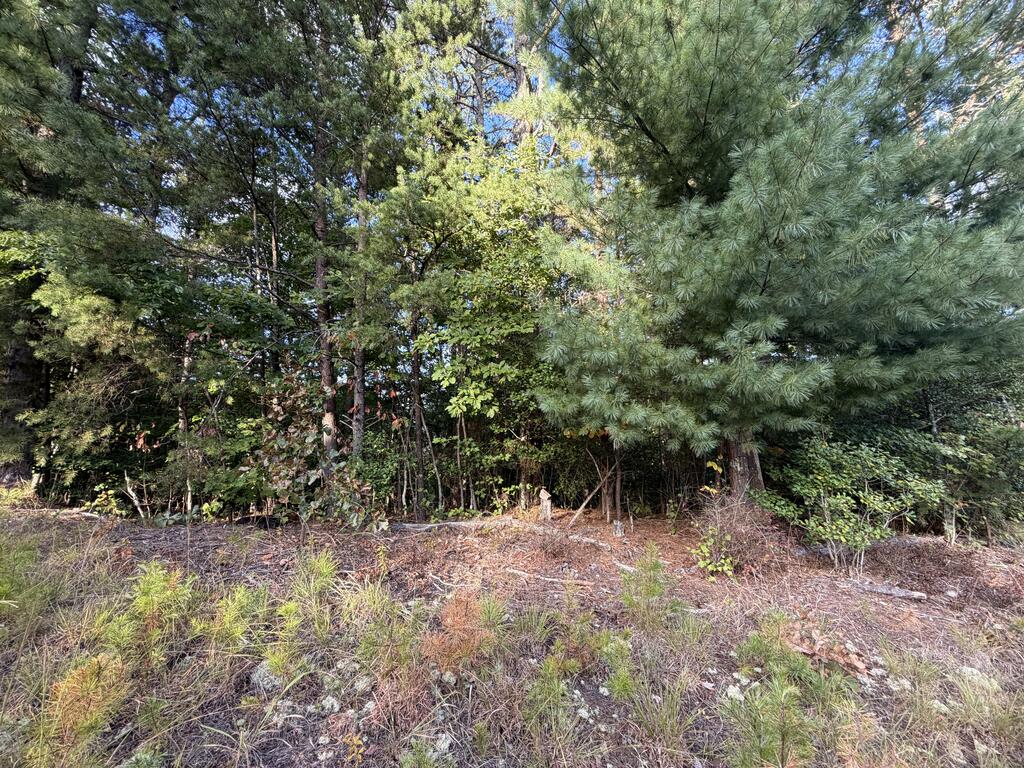 Lot 17 Belaire Drive