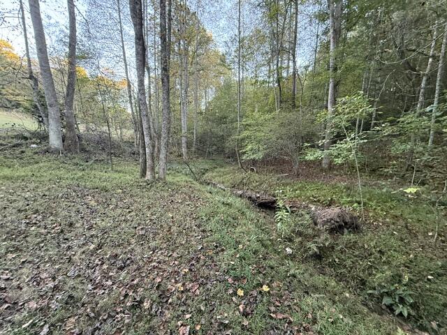 365 Autumn Road