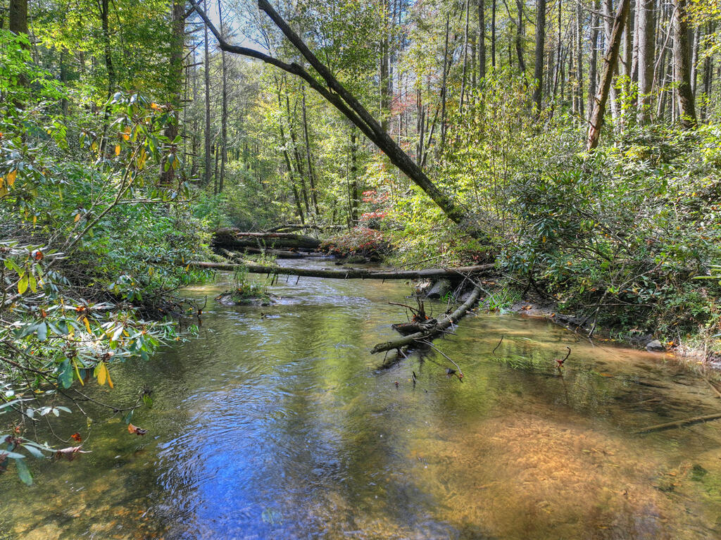 931 Foster Branch Road