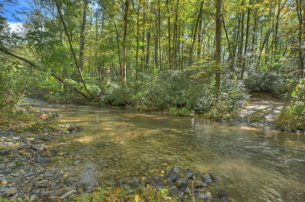 931 Foster Branch Road