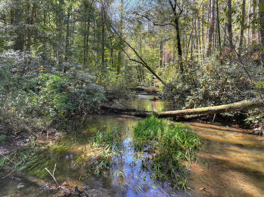 931 Foster Branch Road