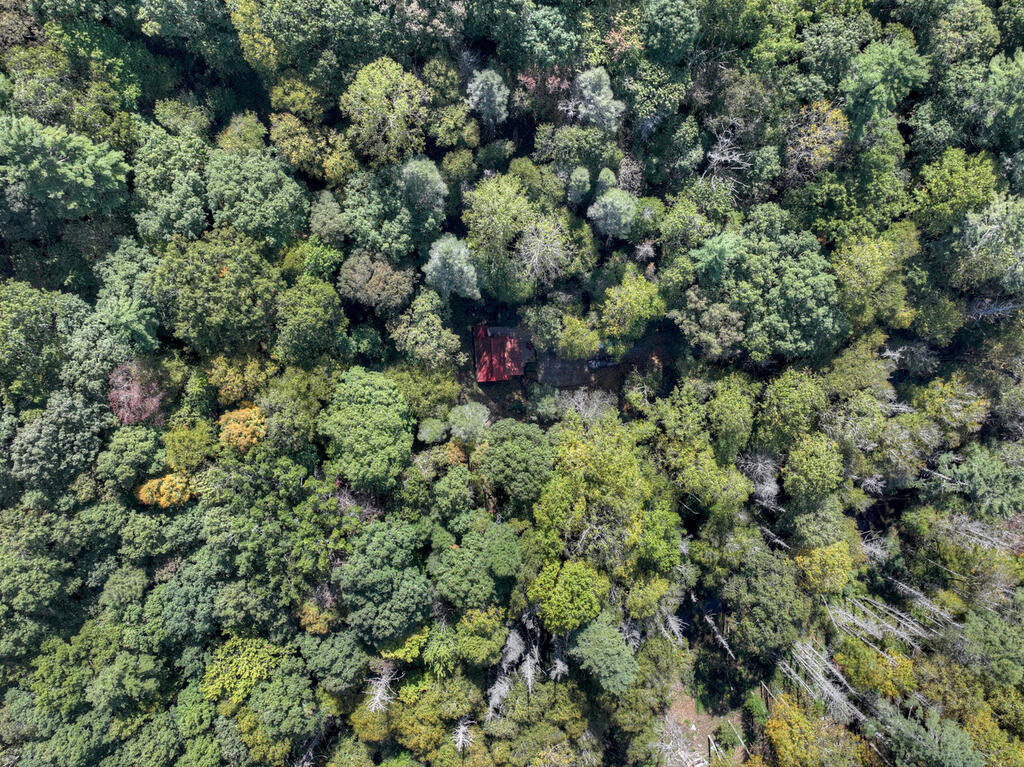931 Foster Branch Road