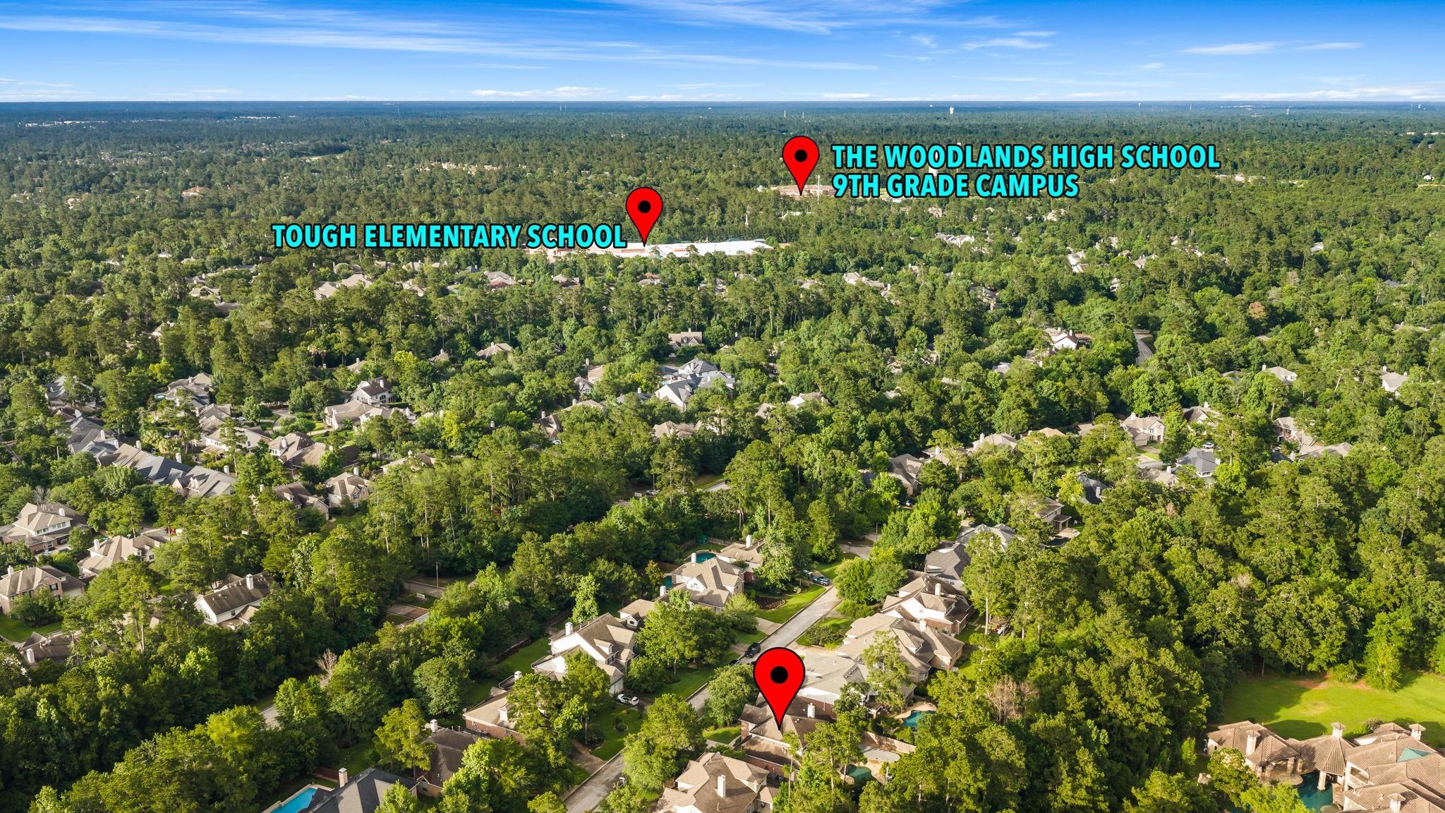 55 W Matisse Meadow Court