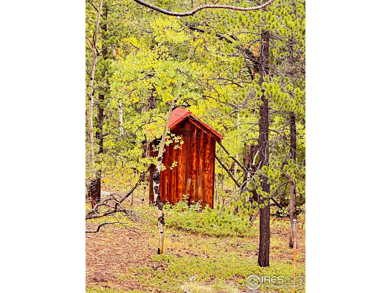 11650 Peak to Peak Highway