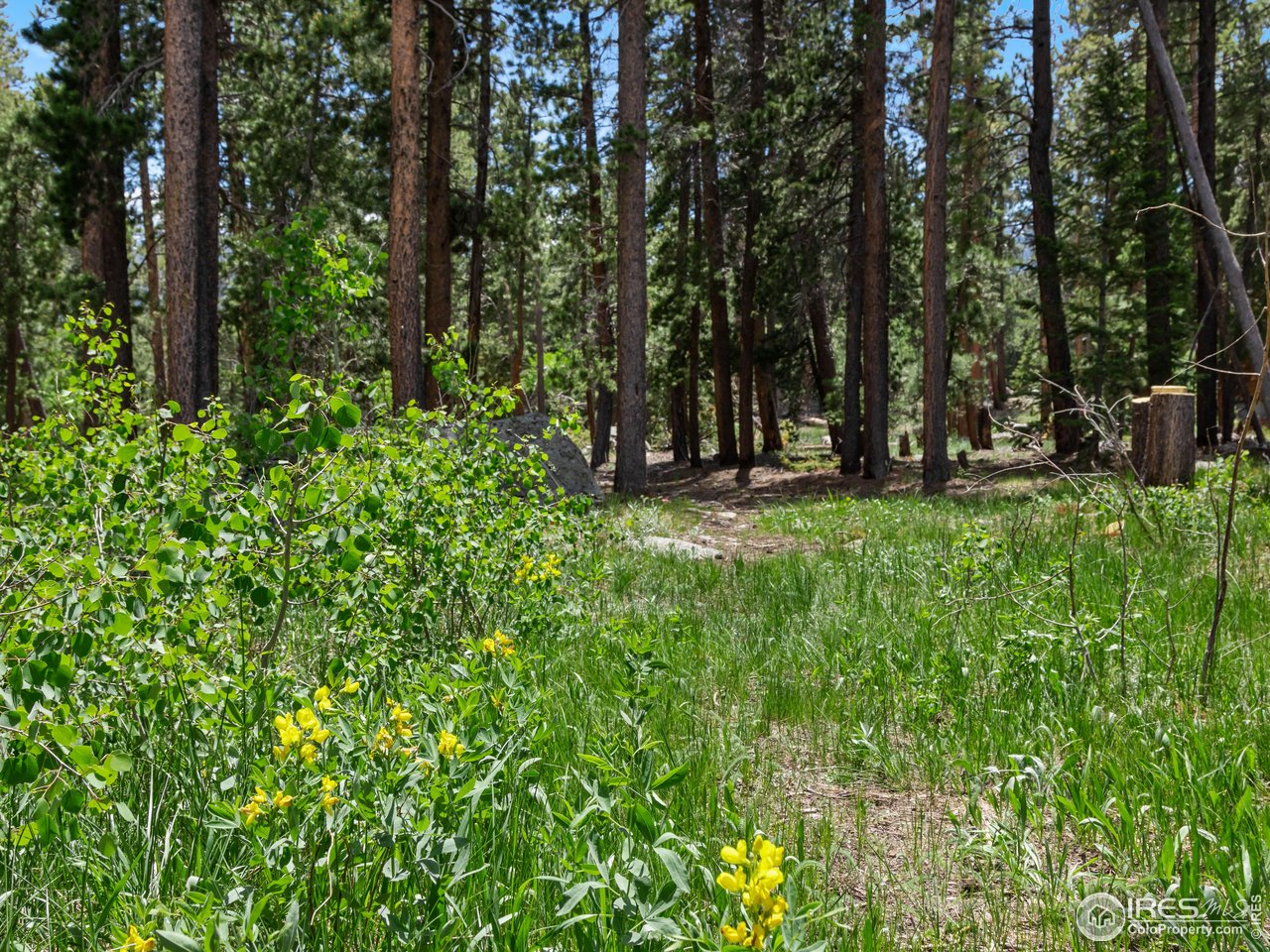 246 Tahosa Park South Rd