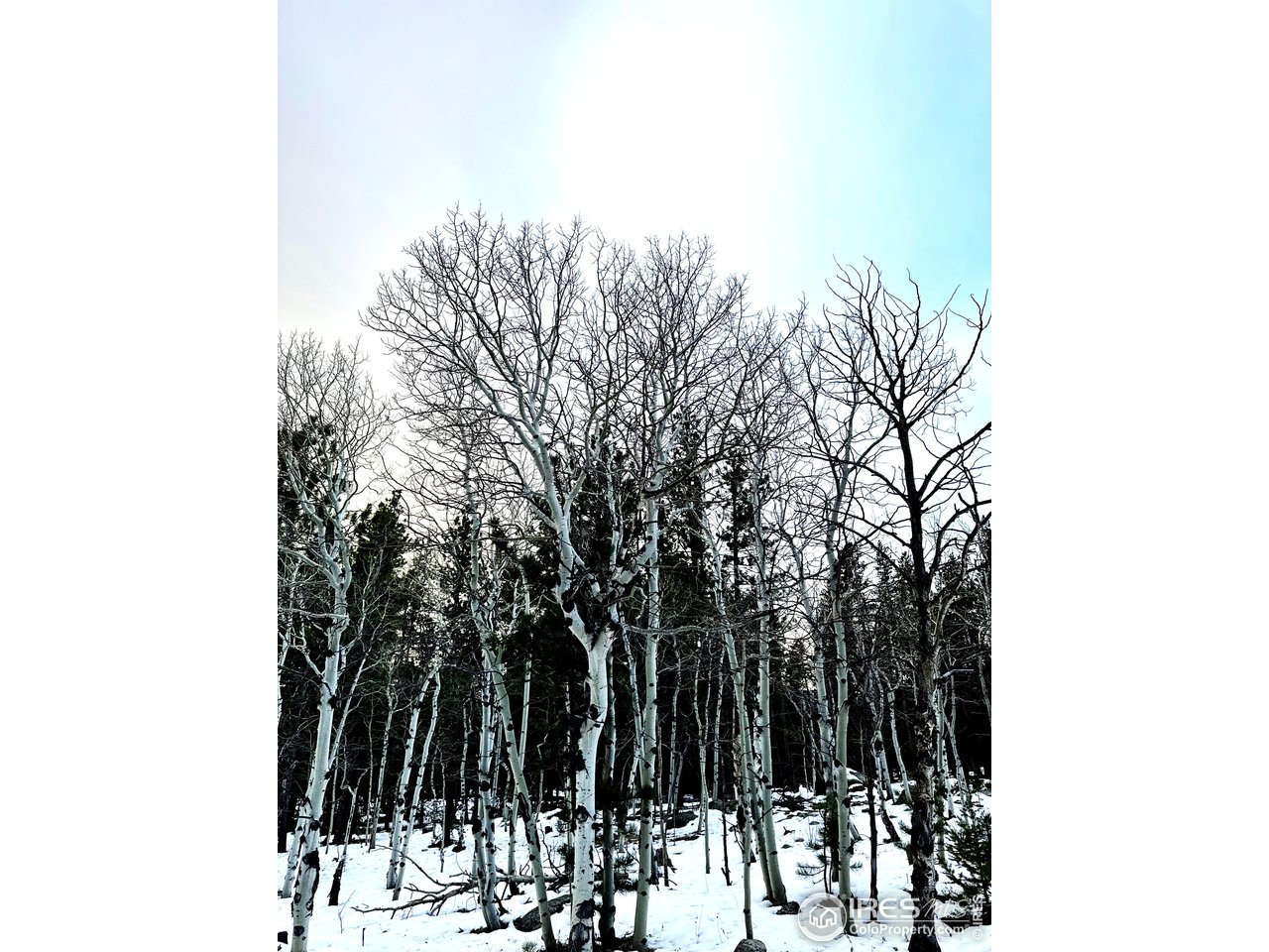 246 Tahosa Park South Rd