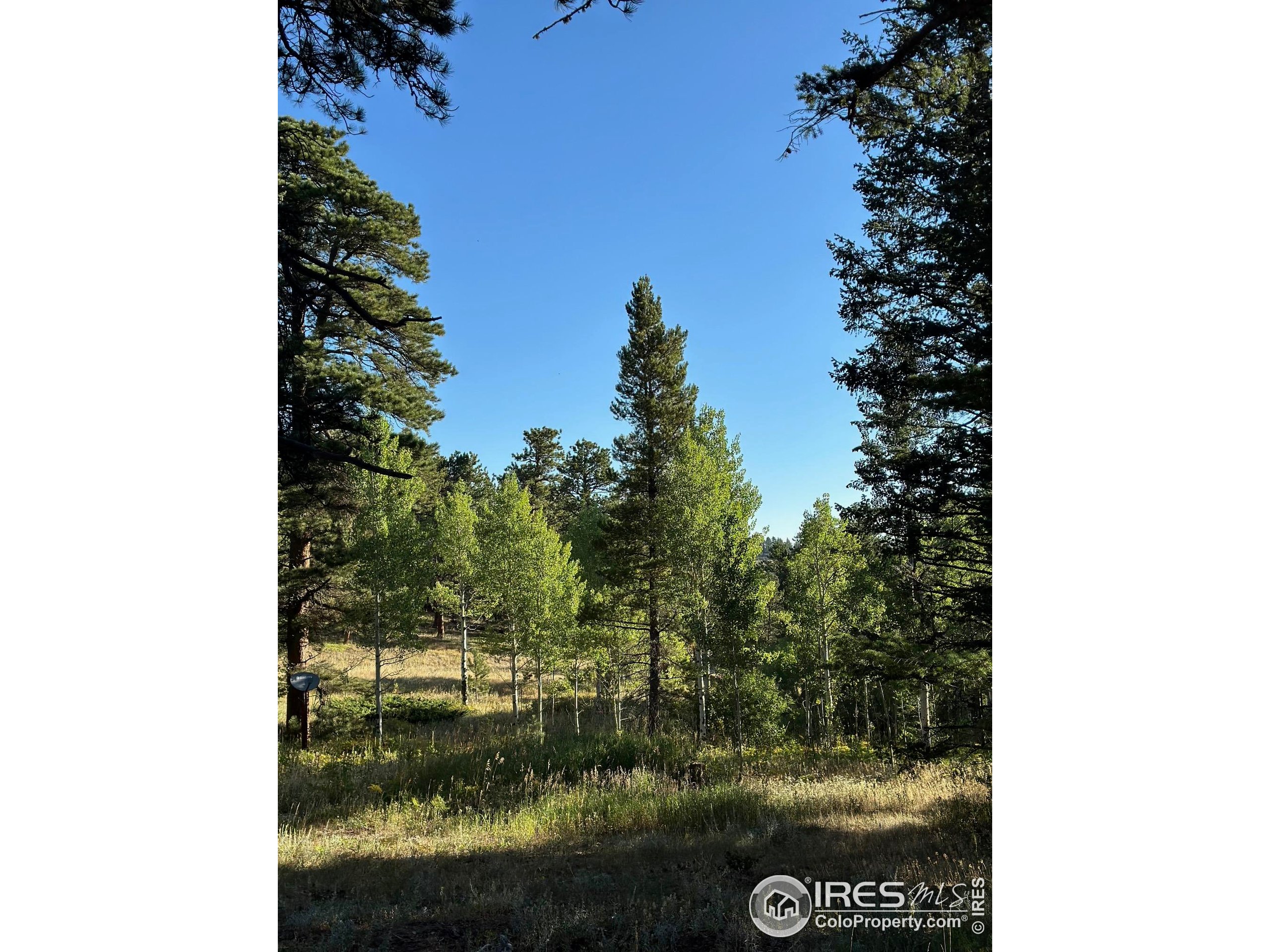 251 Haugen Slide Rd