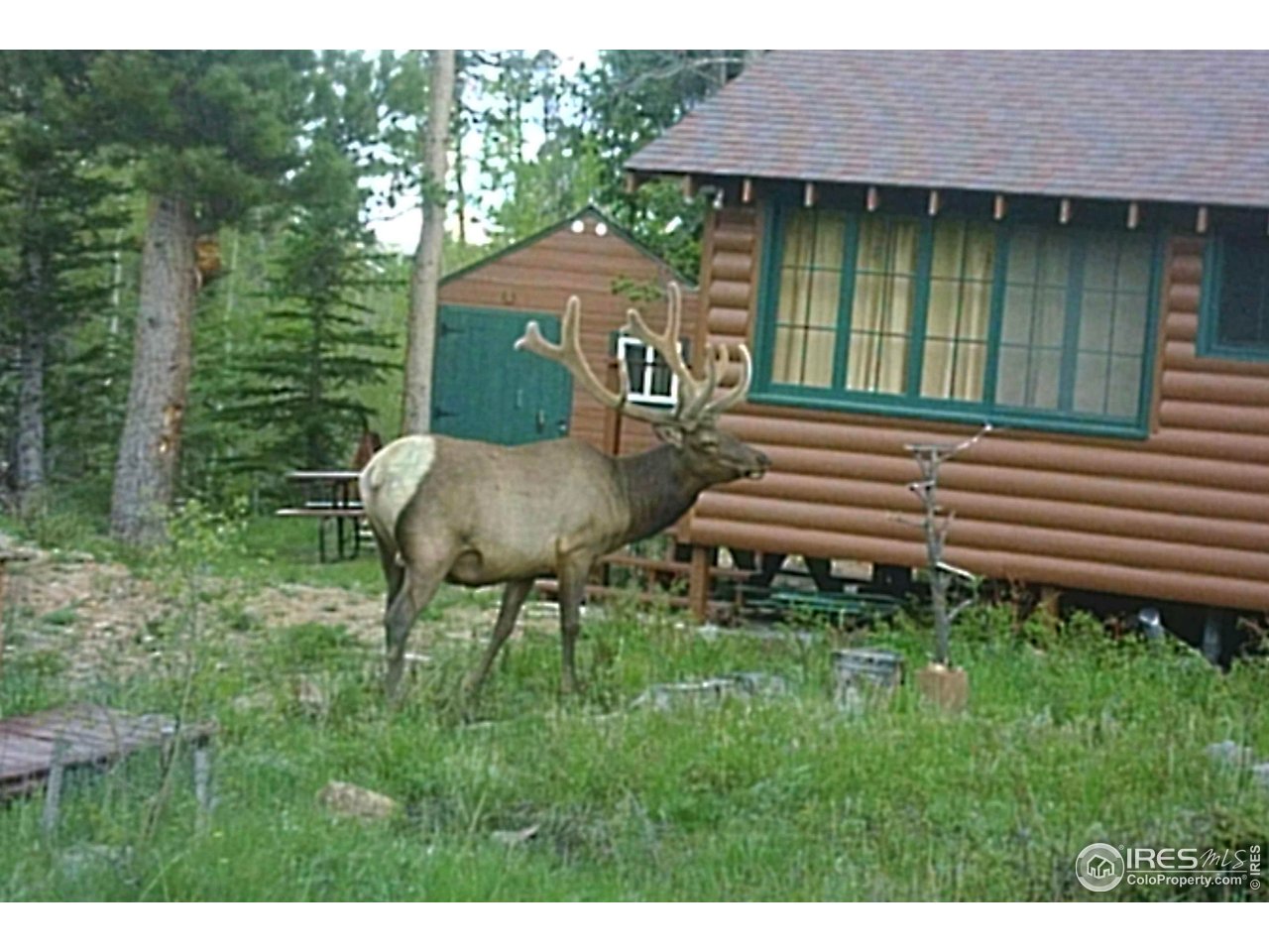 84 County Road 113 S