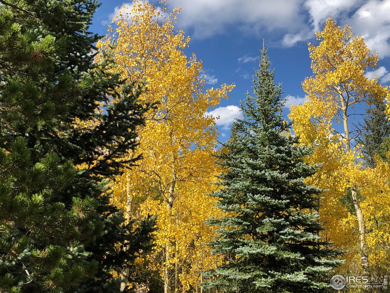 84 County Road 113 S