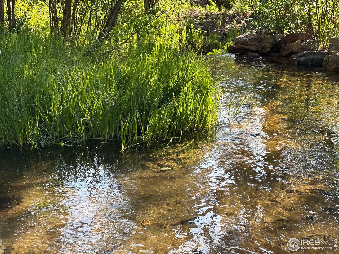 84 County Road 113 S