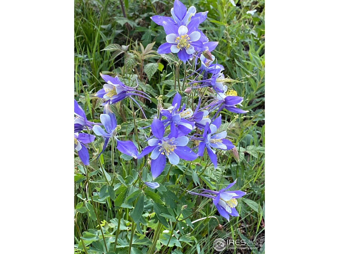 84 County Road 113 S