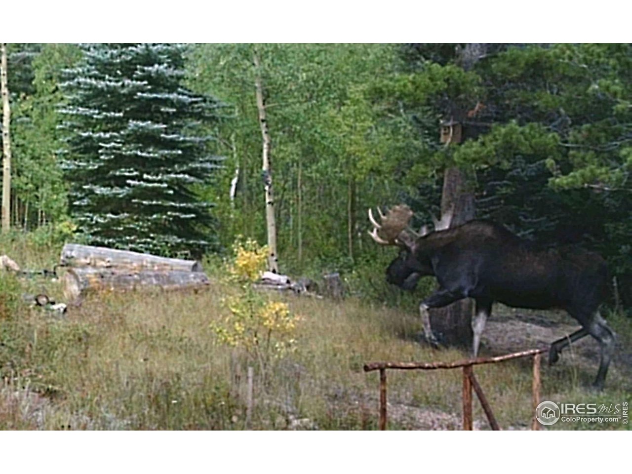 84 County Road 113 S