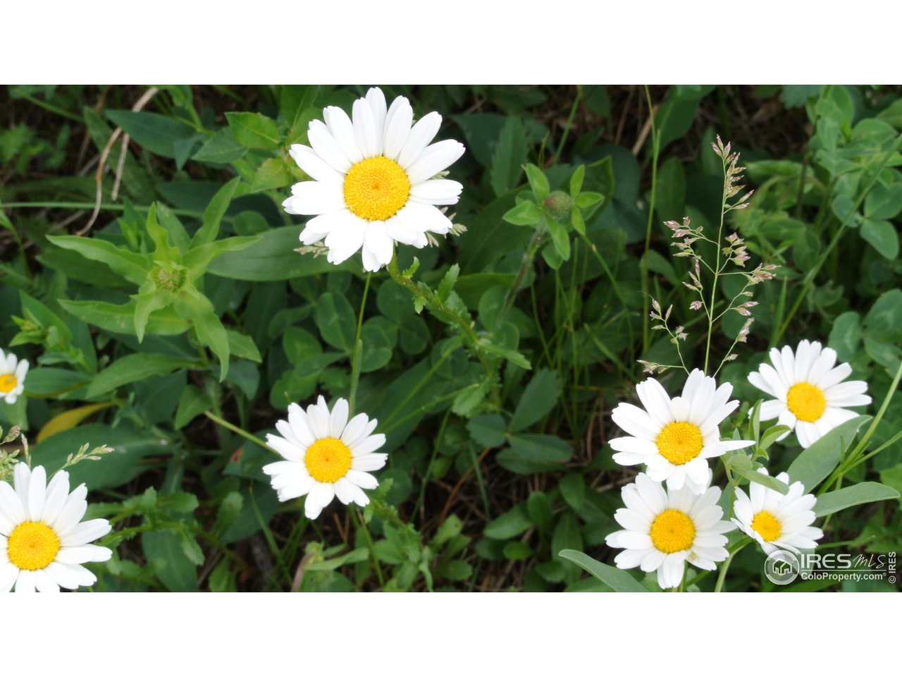 84 County Road 113 S