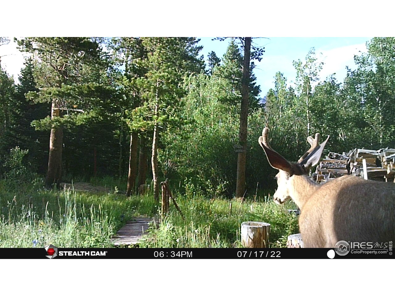 84 County Road 113 S