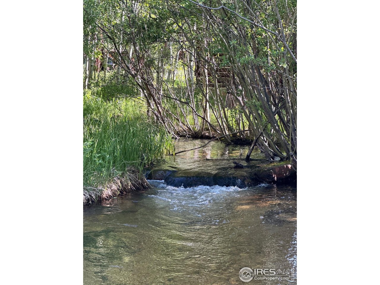 84 County Road 113 S