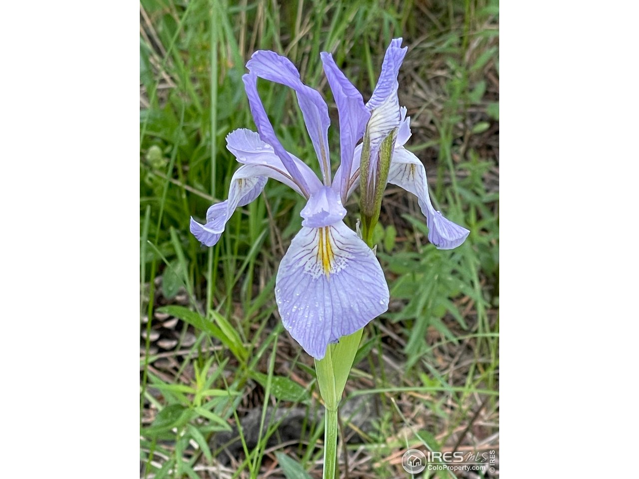 84 County Road 113 S