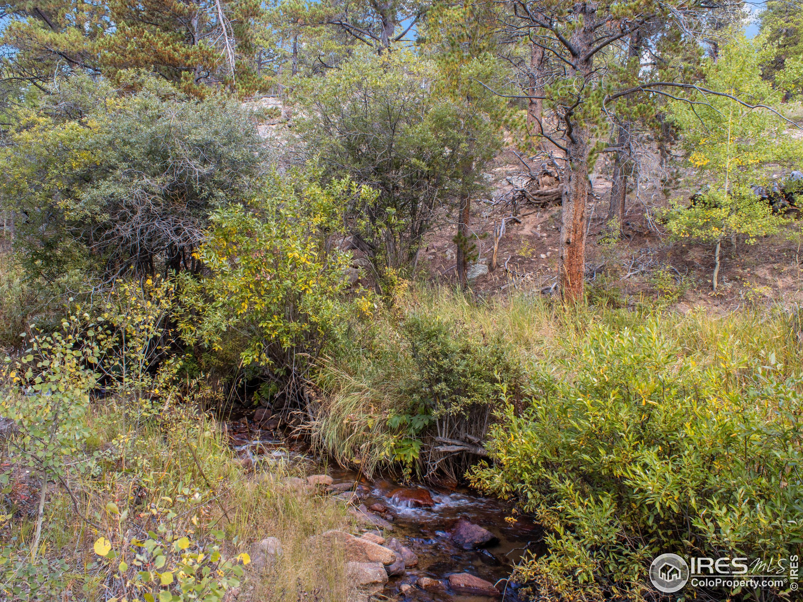 761 Cabin Creek Rd