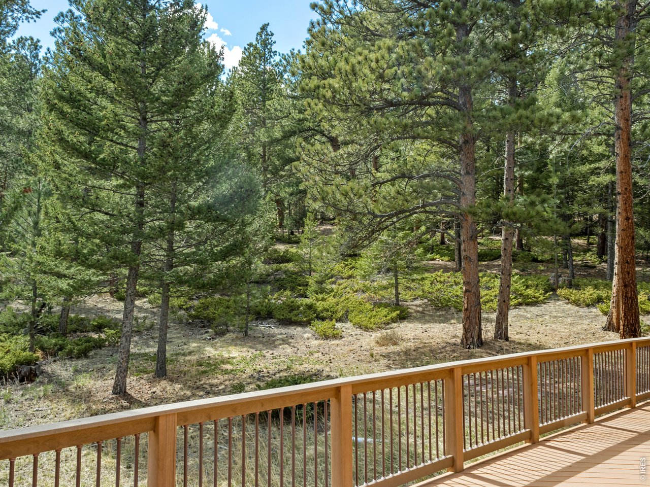 195 Rockledge Cir