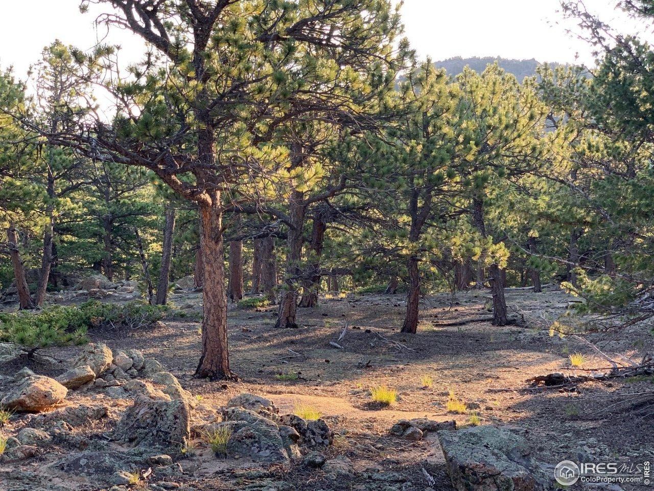 12190 State Highway 7