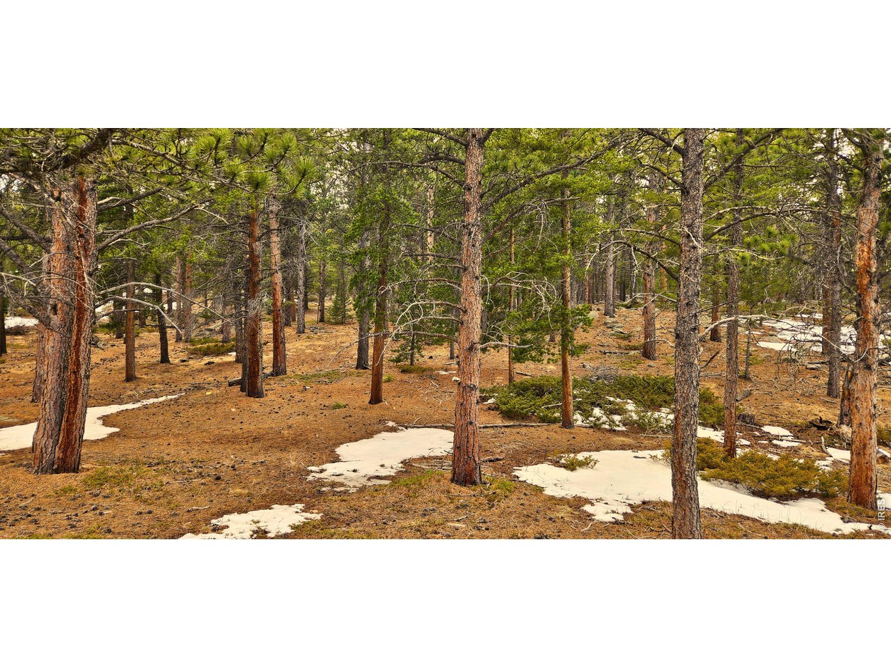 12190 State Highway 7