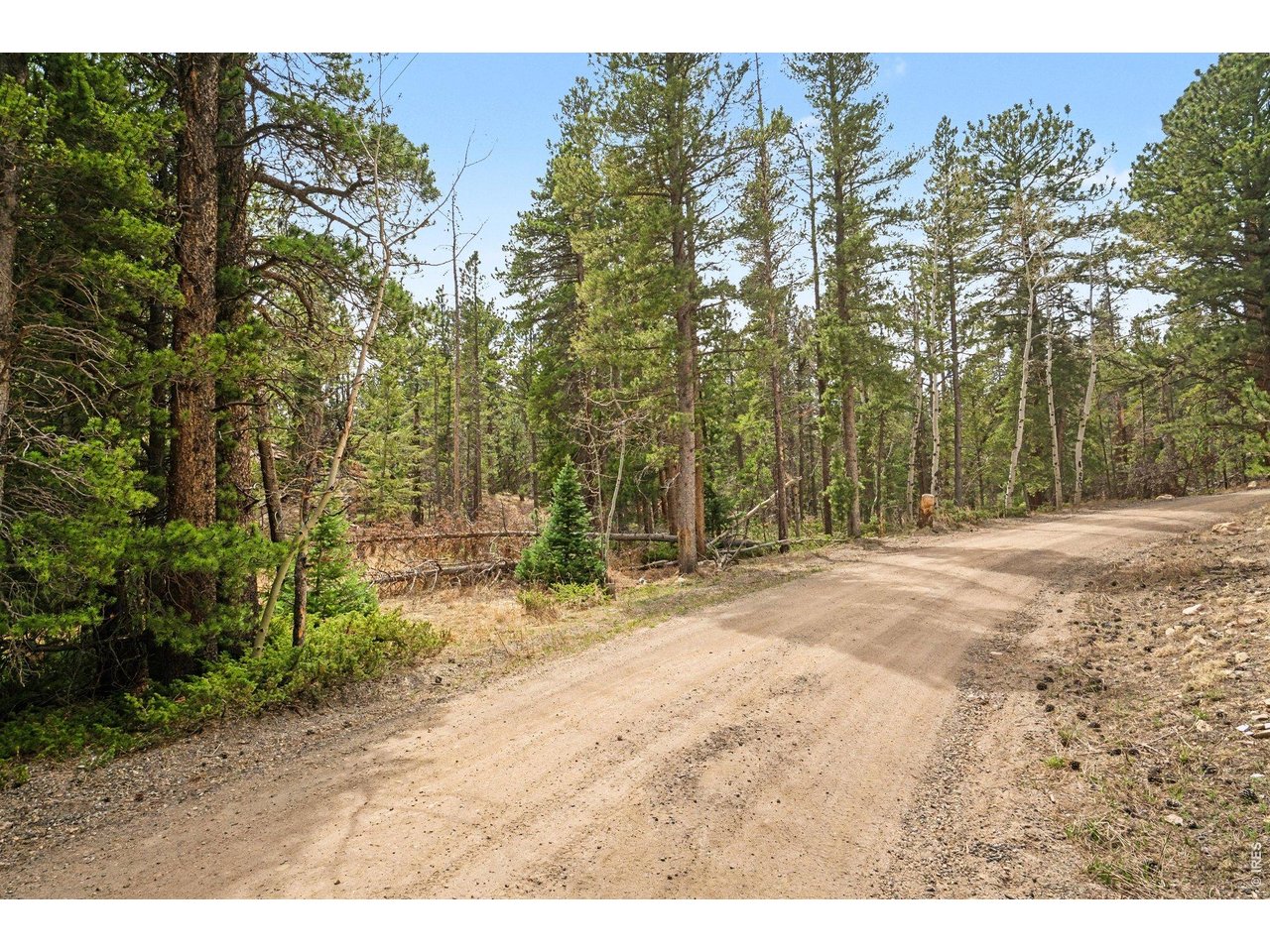 12190 State Highway 7