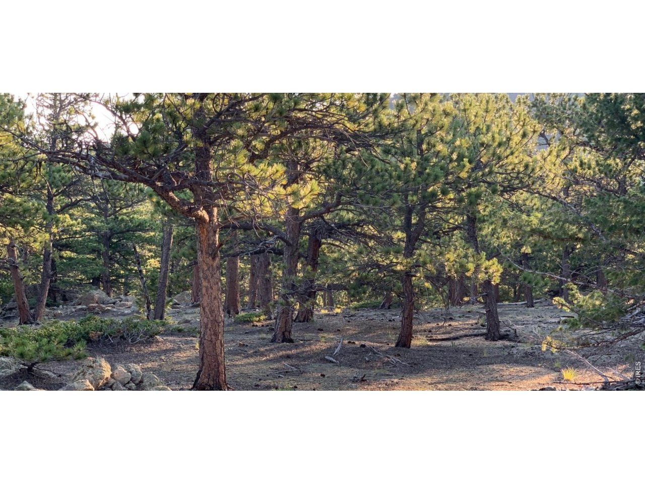 12190 State Highway 7