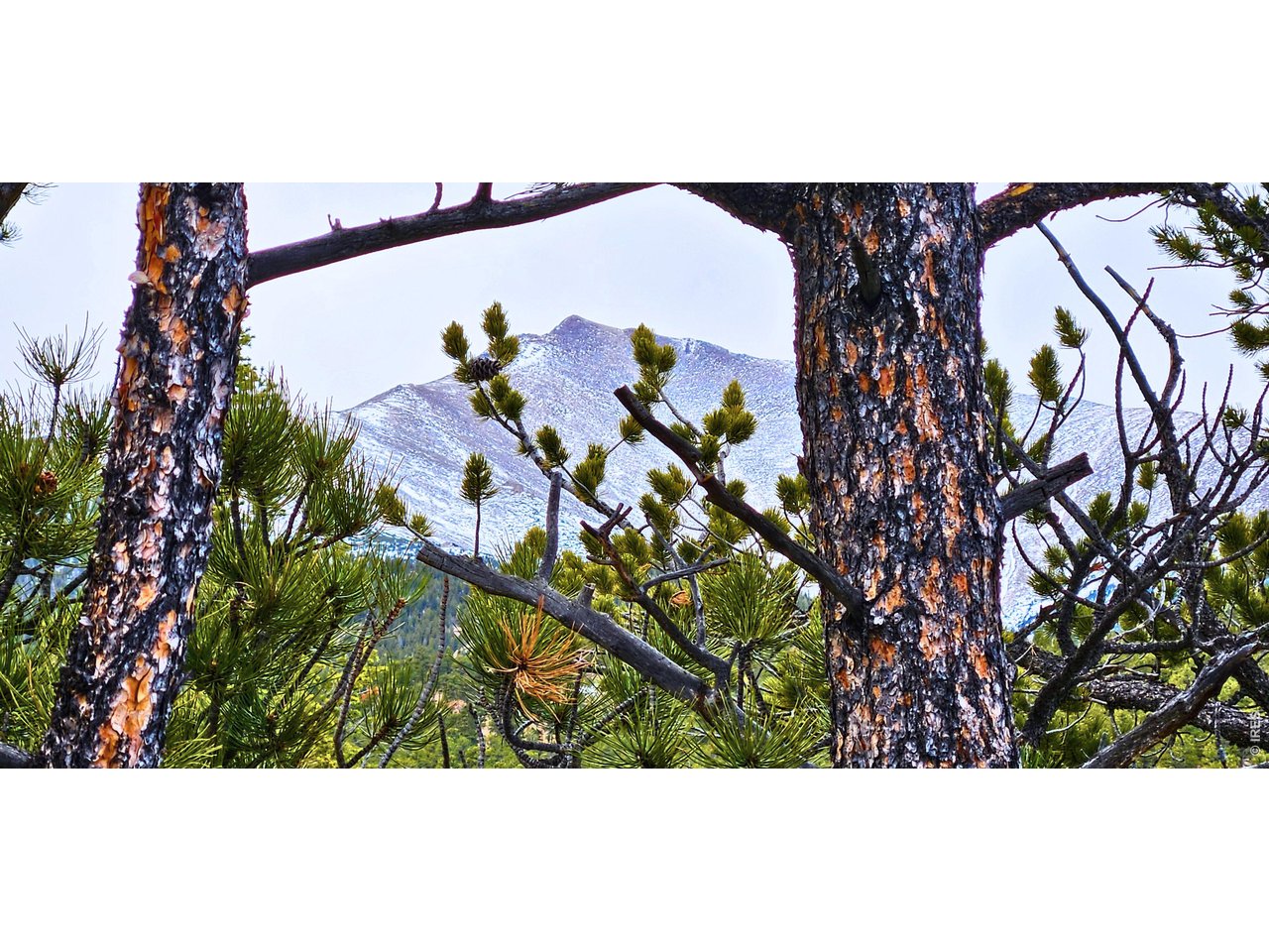 12190 State Highway 7