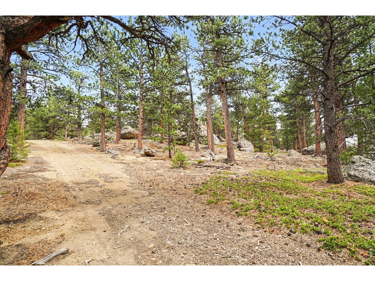 12190 State Highway 7