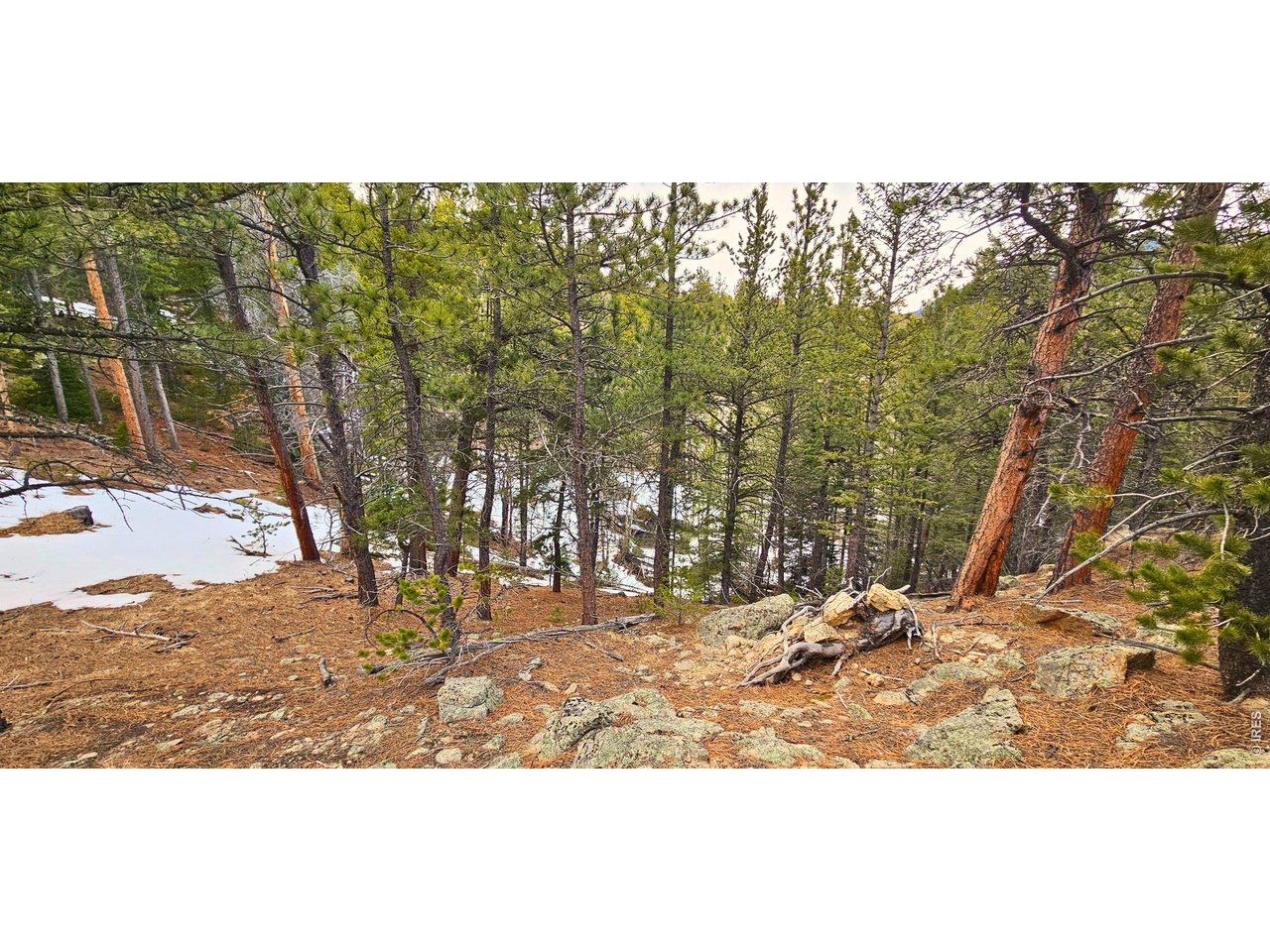 12190 State Highway 7