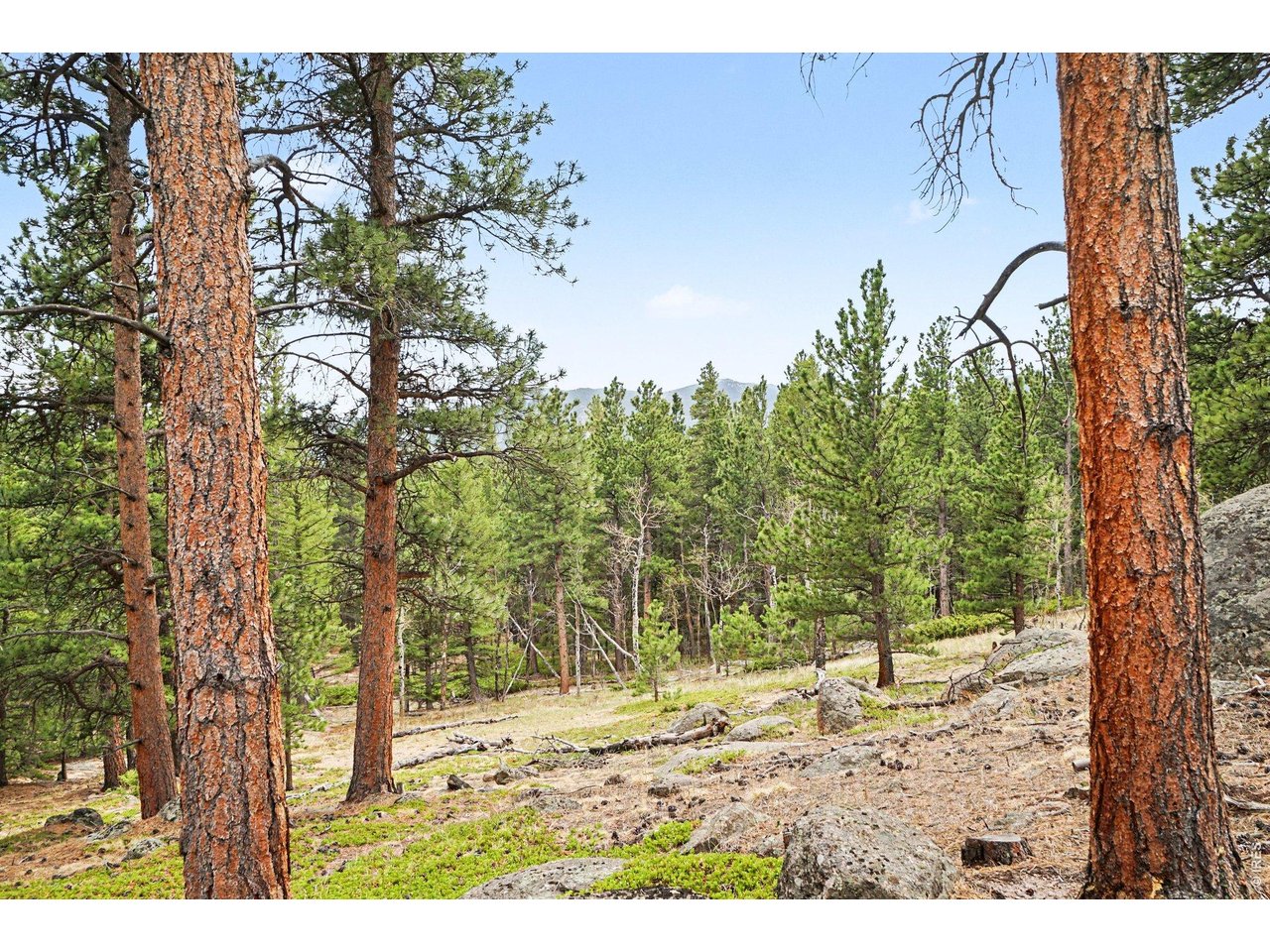 12190 State Highway 7