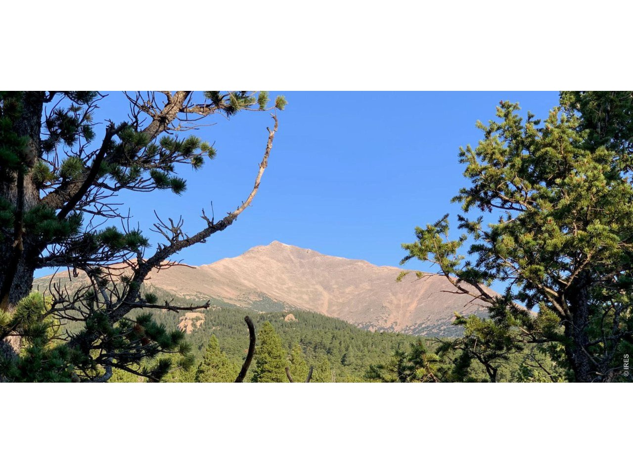 12190 State Highway 7