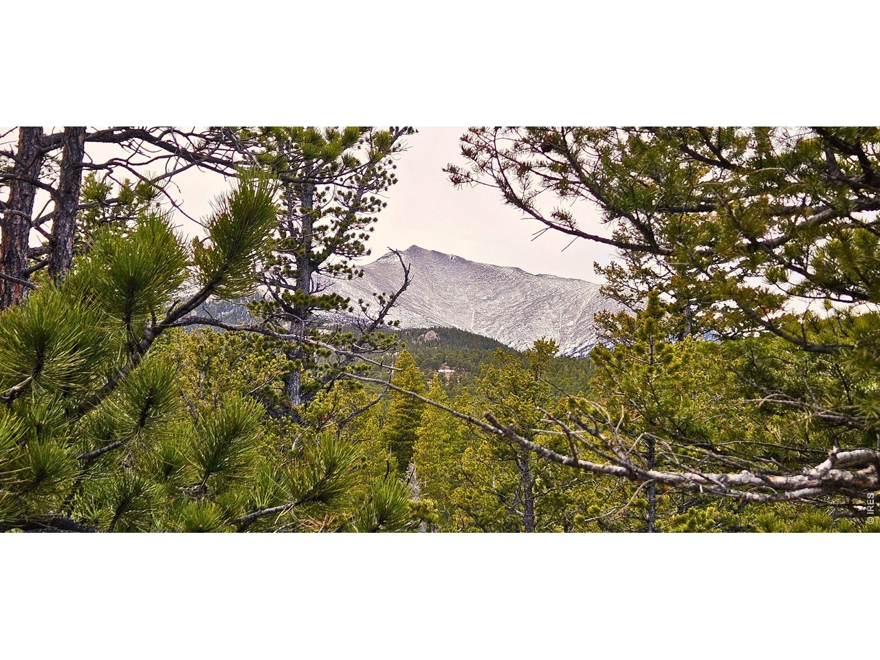 12190 State Highway 7