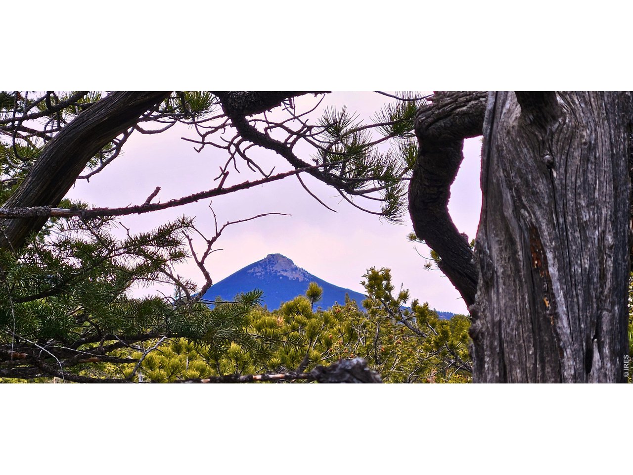 12190 State Highway 7